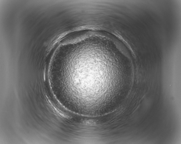 X0000086260062200703291444