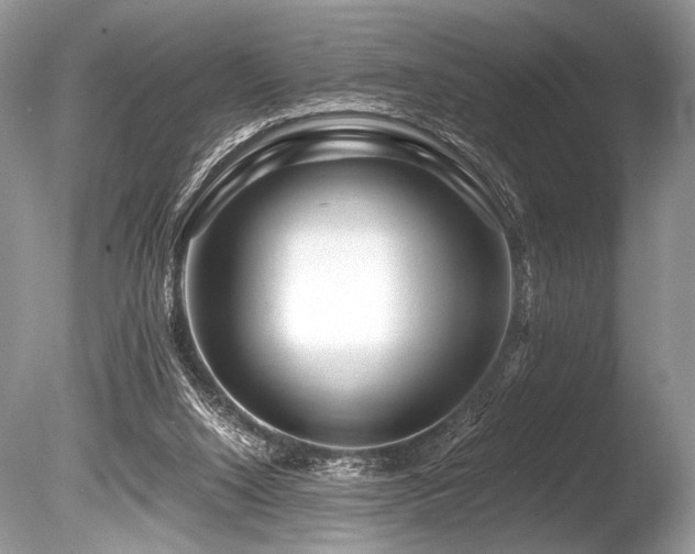 X0000086260064200703291444
