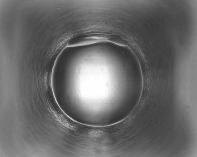 X0000086260066200703291444