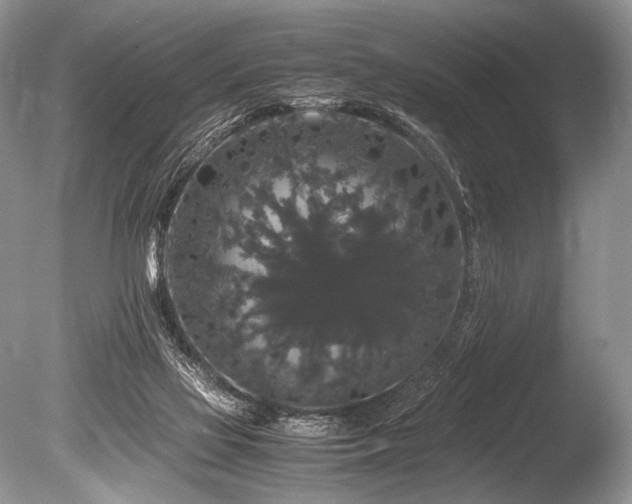 X0000086260069200703291444