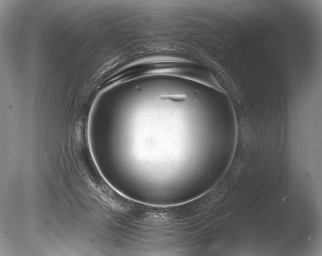 X0000086260071200703291444