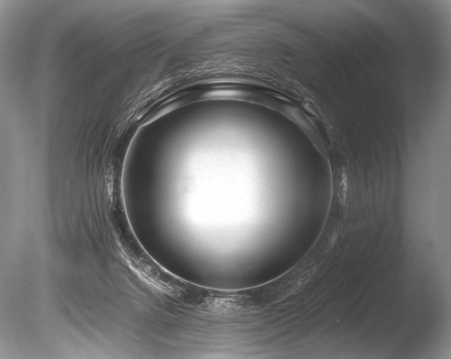 X0000086260072200703291444