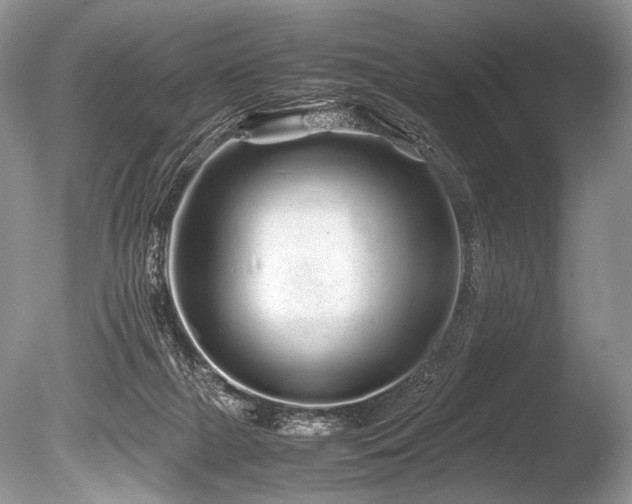 X0000086260073200703291444