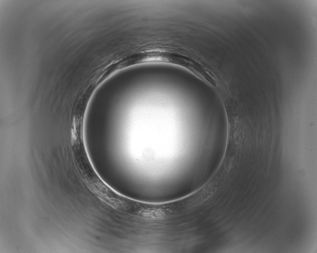 X0000086260075200703291444