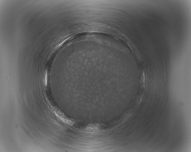 X0000086260076200703291444