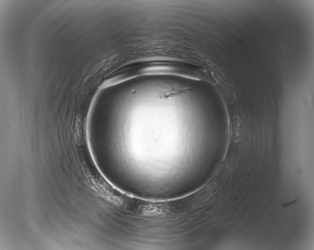 X0000086260077200703291444
