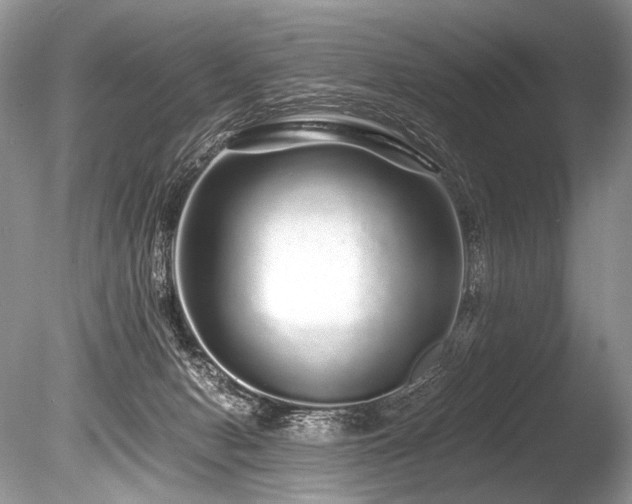 X0000086260078200703291444