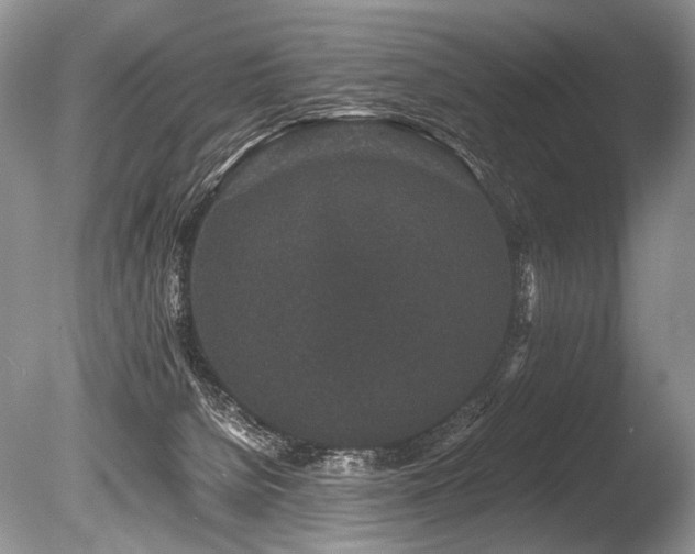 X0000086260080200703291444
