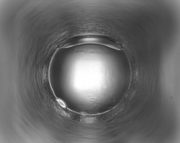 X0000086260081200703291444