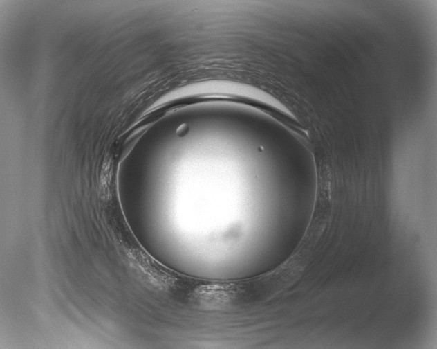 X0000086260082200703291444