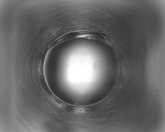 X0000086260083200703291444