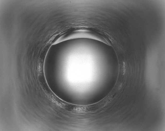 X0000086260084200703291445