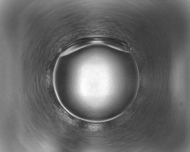 X0000086260085200703291445