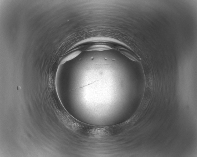 X0000086260086200703291445