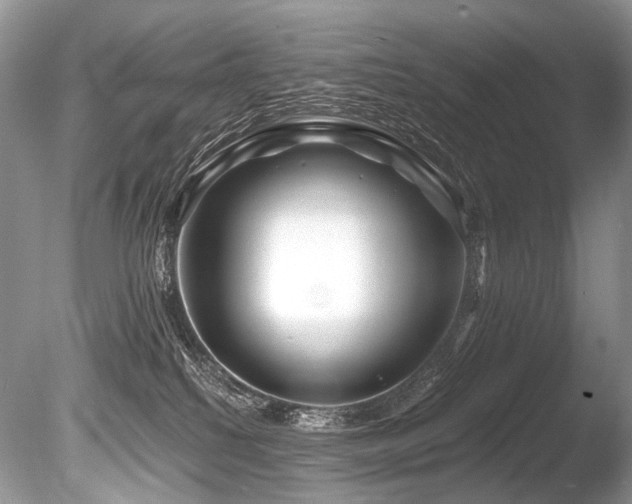 X0000086260088200703291445