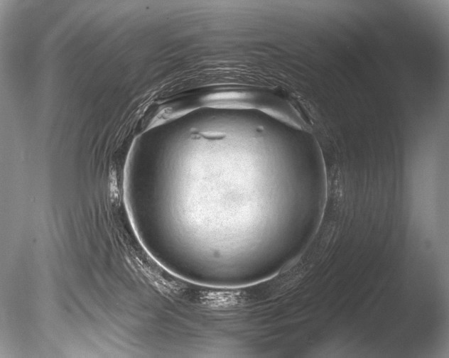 X0000086260089200703291445