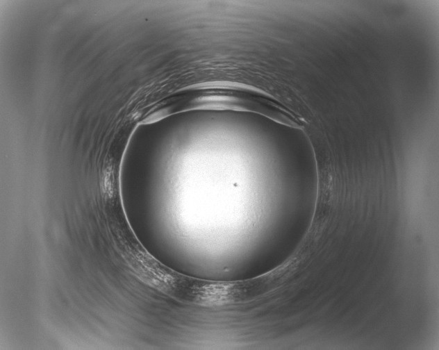 X0000086260090200703291445