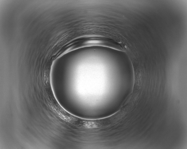 X0000086260091200703291445