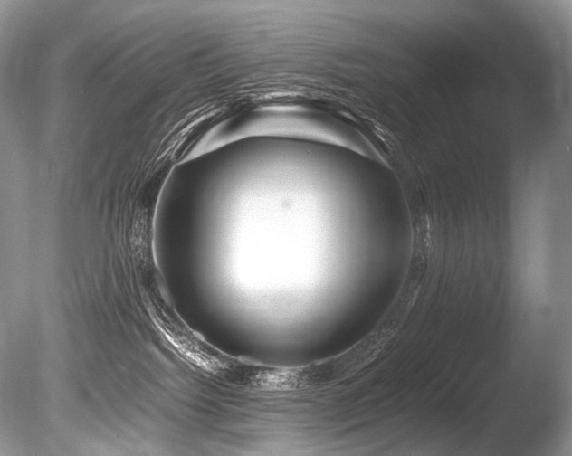 X0000086260092200703291445