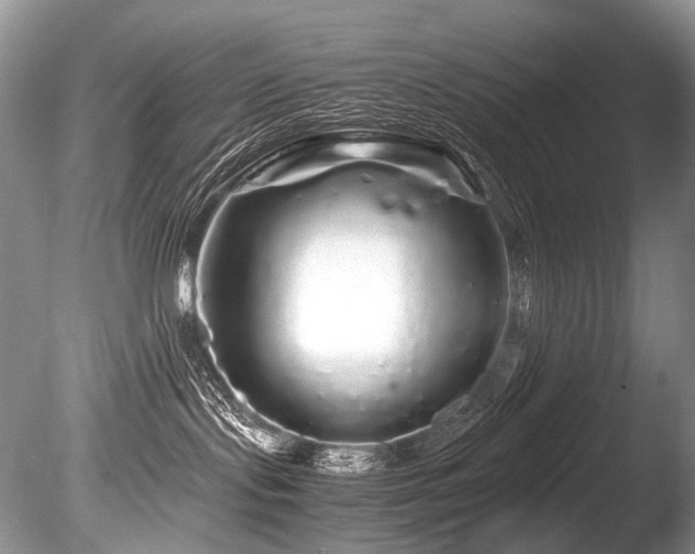 X0000086260095200703291445