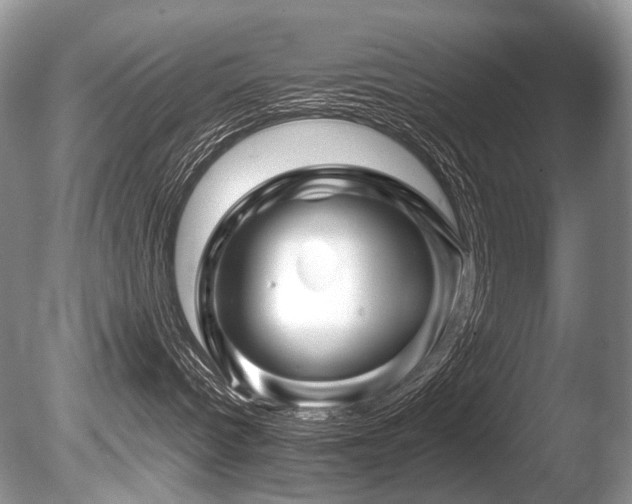 X0000086260096200703291445