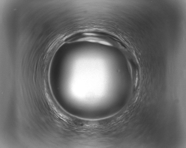 X0000086260097200703291444