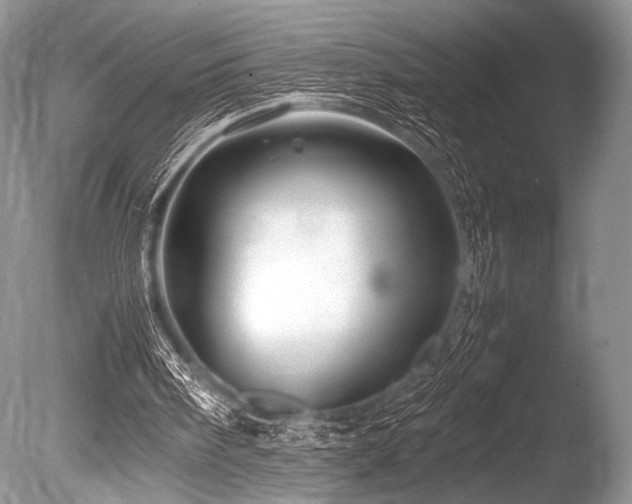 X0000086260098200703291444
