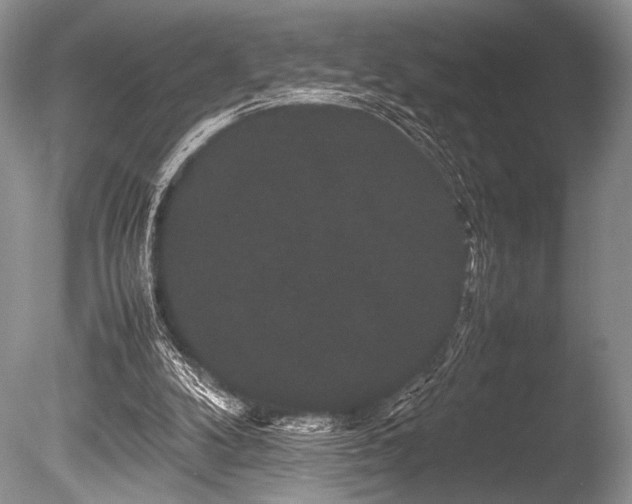 X0000086260104200703291444