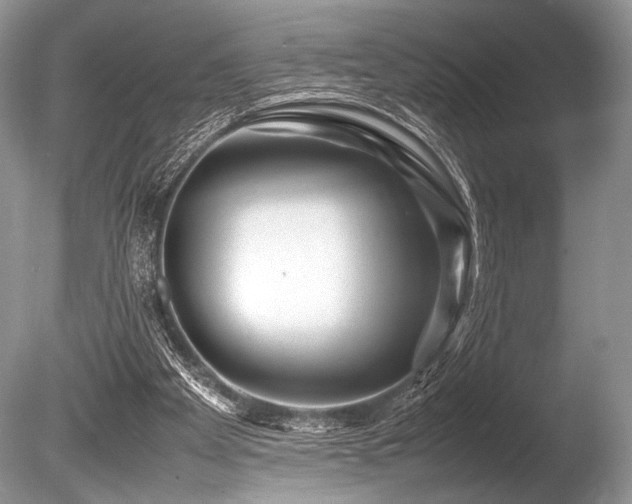 X0000086260105200703291444