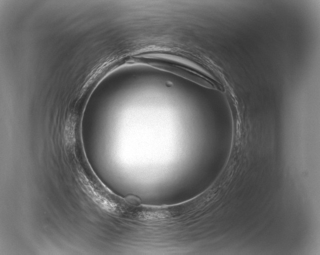 X0000086260106200703291444