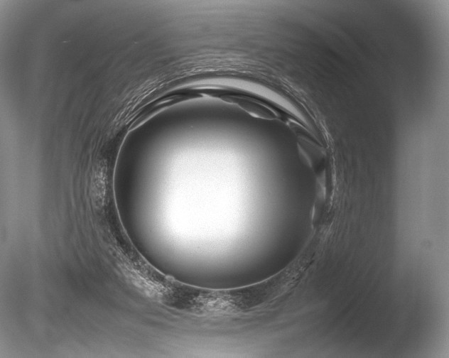 X0000086260113200703291444