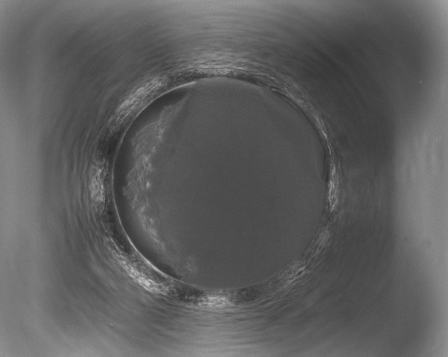 X0000086260114200703291444
