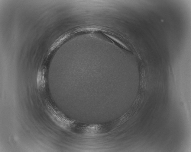X0000086260116200703291444