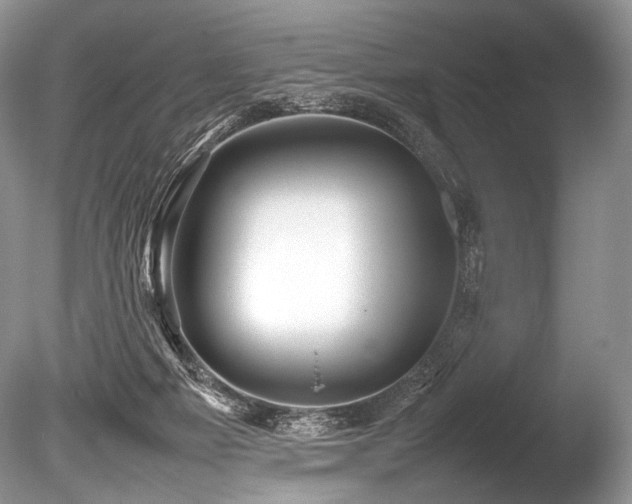 X0000086260121200703291443