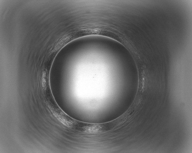 X0000086260122200703291443