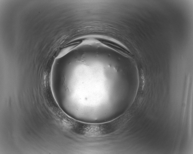X0000086260123200703291443
