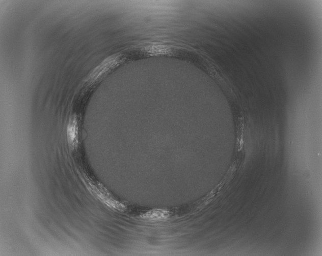 X0000086260124200703291443