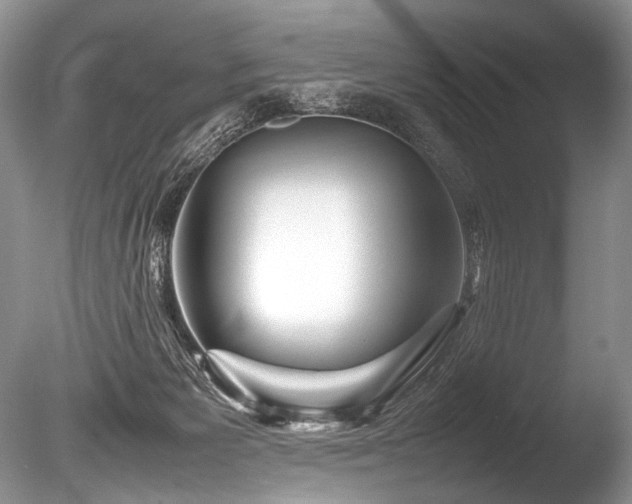 X0000086260125200703291443
