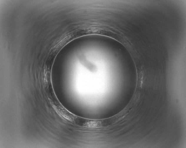 X0000086260126200703291443