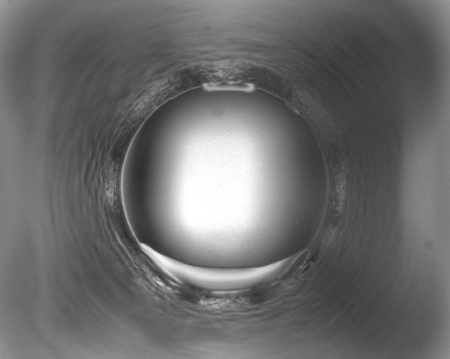 X0000086260129200703291443
