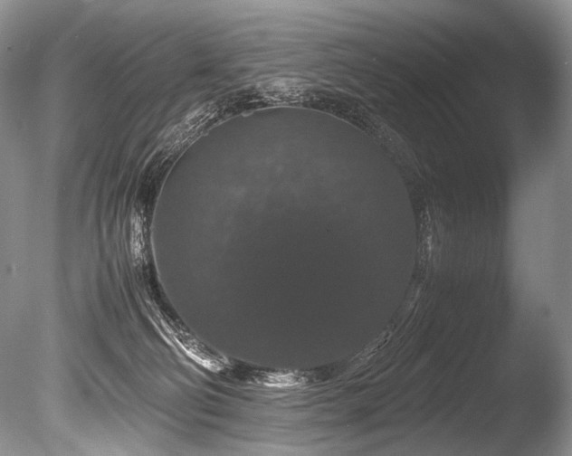 X0000086260130200703291443