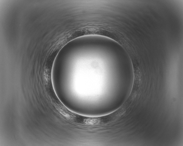 X0000086260135200703291443