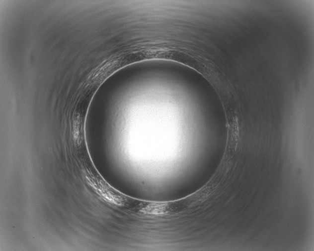 X0000086260138200703291443