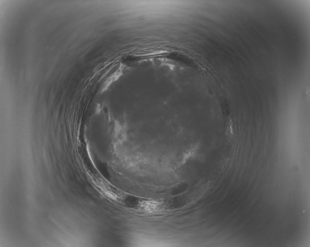 X0000086260139200703291443