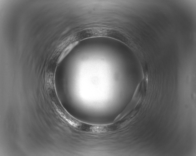 X0000086260141200703291443