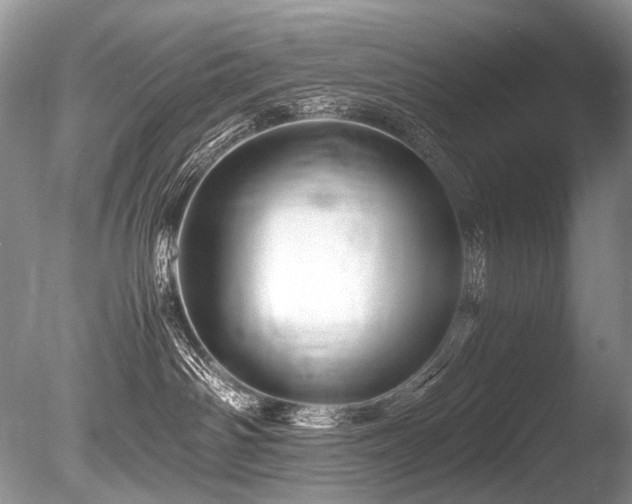 X0000086260142200703291443