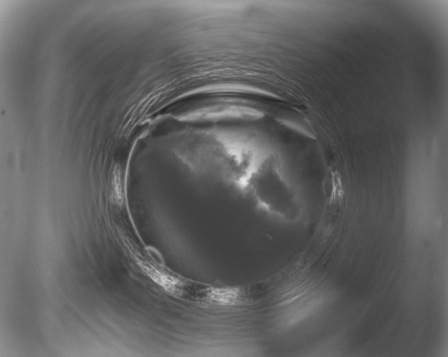 X0000086260143200703291443