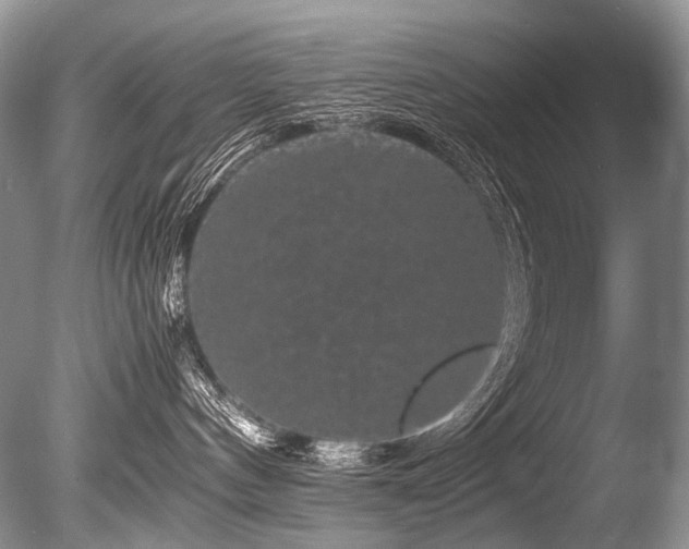 X0000086260144200703291443