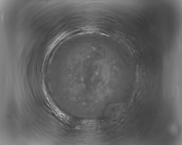 X0000086260145200703291442