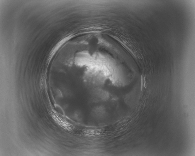 X0000086260147200703291442